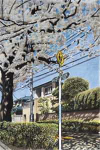 浮生唯他是遗憾全章节