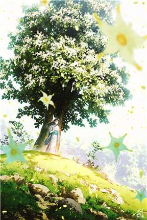 雾里看花又见你爆火全网