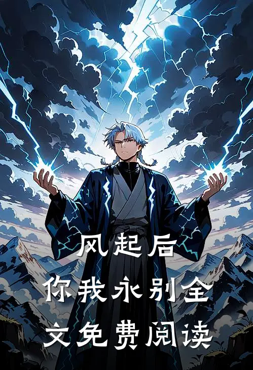 风起后,你我永别全文免费阅读