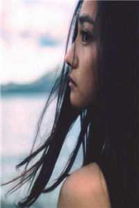 明月何曾照两乡已完结