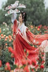 浮生唯他是遗憾温心岚司寒全文+免费