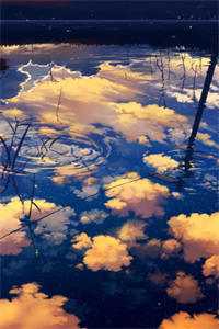 永夜今安忆旧年全文章节