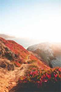 拈花一笑盼君归全文+番外