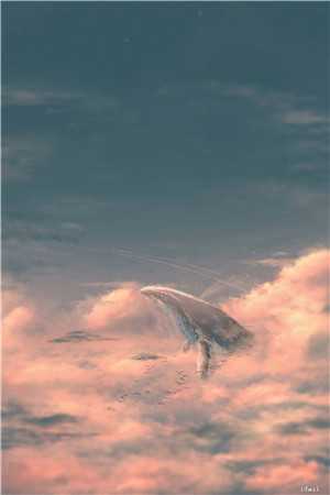 霜雪覆星辰前言+后续