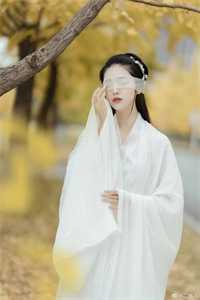 一枕月华解相思最完整版