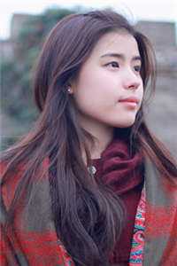 神雕：开局桃花岛一天抽取一词条精品篇