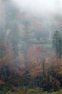 我精通茶艺，专治女兄弟顾筱筱傅砚舟完结文