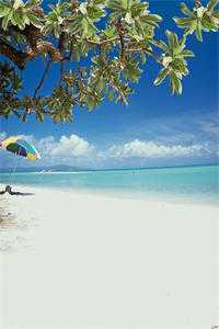 三十岁被高干强制爱番外