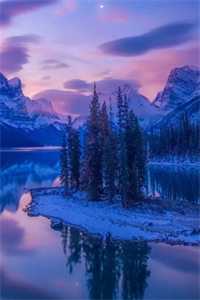 从此不敢见繁花爆款宝藏