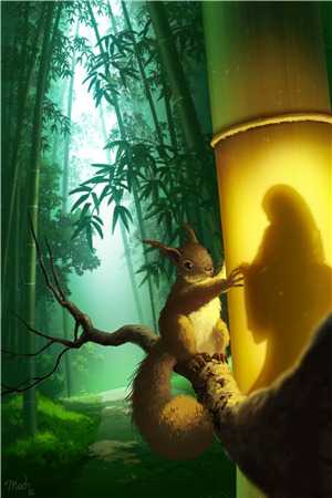 我谶出，惊风雨章节