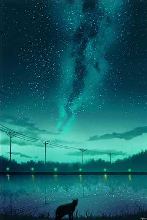 半盏花灯枕明月精选