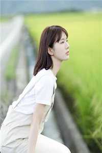 锁笼雀，声声泣宋书瑶司谨言后续+完结