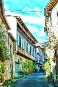 清风不语自温柔宋毅蒋琴结局+番外