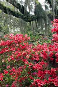 攻略冷血佛子失败后，我放弃了完整文集阅读