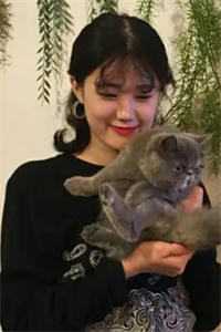 故人入梦我入坟最后结局