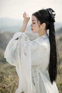 萤火绕过旧梅梢前文+