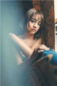 昨夜星辰垂野免费看