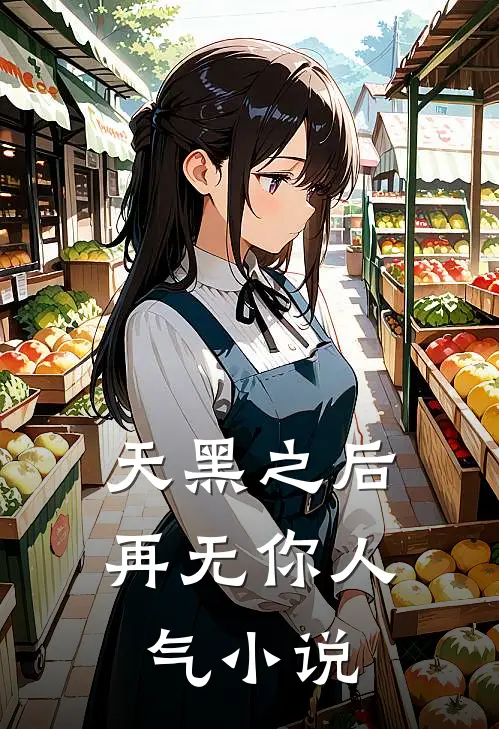 天黑之后再无你人气小说
