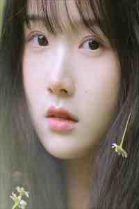 梦醒犹温昨日言完本