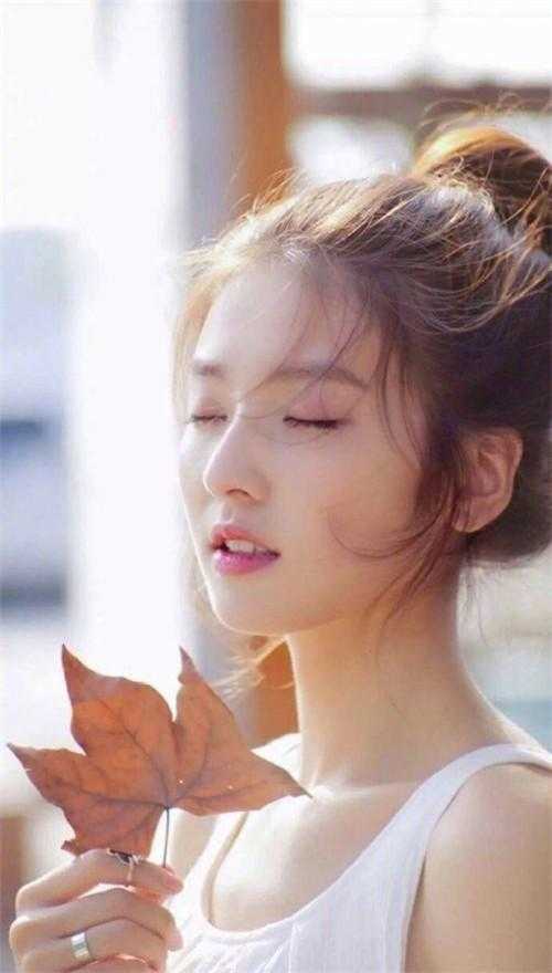 情深朝朝如许目录