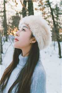 双凤行小说免费