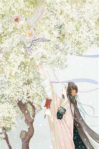 花落魂散余生苦后续+结局