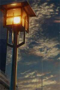 第七年春雨迟火爆小说