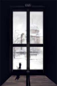 改嫁王府当富婆，夺他江山又如何最新热门小说