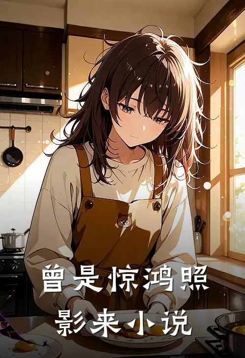 曾是惊鸿照影来小说