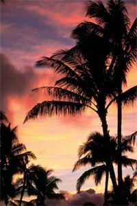 雨落无尽，不见归途后续+番外