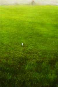 和泼妇婆婆同穿古代互换身体后，我靠智慧碾压成了魅魔的她精修版