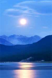 笨蛋小奴无删减全文