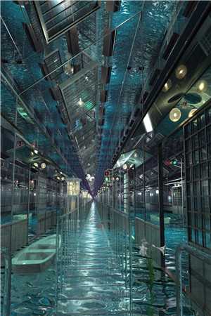 永夜今安忆旧年爆款热文