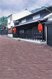 月光也曾照并肩完整