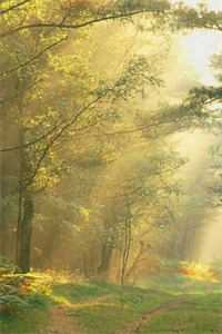 新婚夜，离婚时最新章节列表