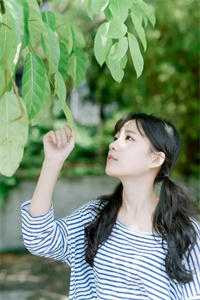 晚风蚀骨月无声全本