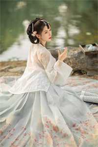 楼台高悬映月小说全文免费