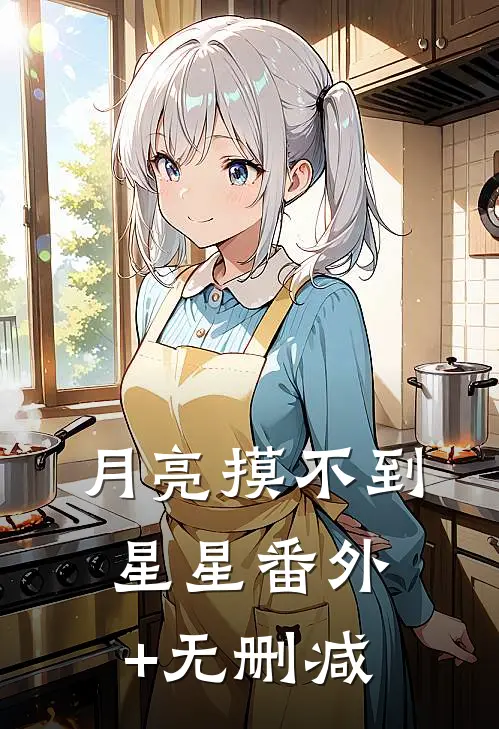 月亮摸不到星星番外+无删减