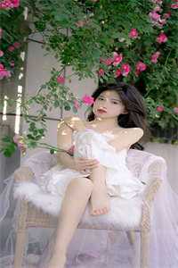 我摘星辰缀她衣小说全文免费阅读