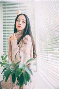 月光也曾照并肩推荐