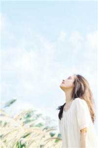 他要的爱，我不敢不给免费看