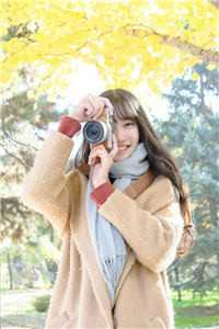 烟火也曾照明月畅读