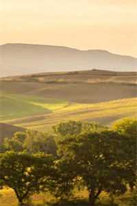 重生后，我甩了霸总享单身夜精选