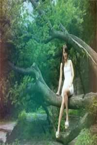 此后晚风皆是你全本