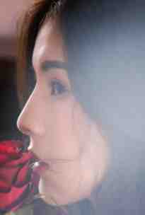 绝字入归鸟章节