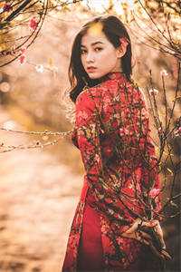 重生九零：手撕渣男养崽仇谭巧珍马保国全文免费