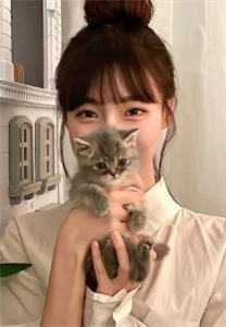 风梳草色愿长安无广告