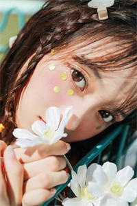 长风万里不递书全新