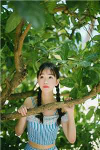 偏逢一枕梦深未删减版