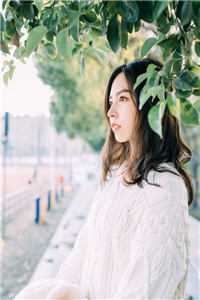 星离雨散不终期高质量好文